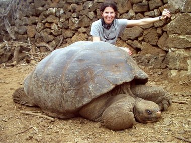 tortoise-lori.jpg
